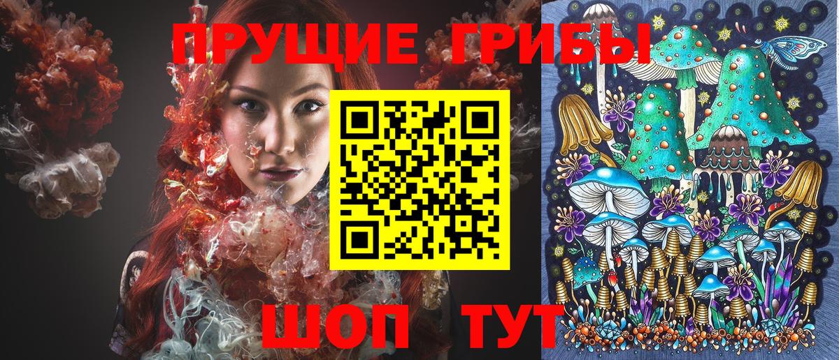 Батайск  наркотики  Вход с VPN  Галлюциногенные грибы мухоморы  Галлюциногенные грибы GOLDEN TEACHER 