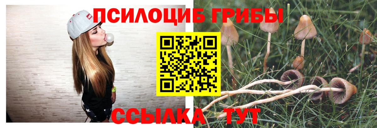 Псилоцибиновые грибы мухоморы Батайск